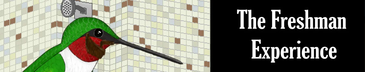 The Freshman Experience banner